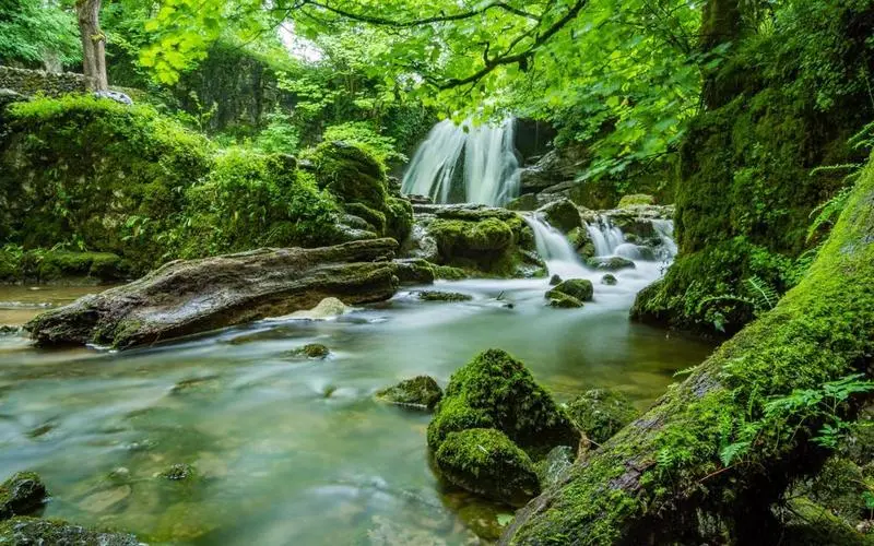 高端智慧智能系统
